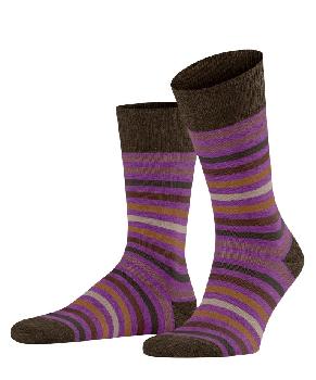"FALKE" Носки Tinted Stripe (13279/8893)